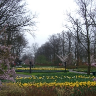 オランダキューケンホフ公園３.jpg